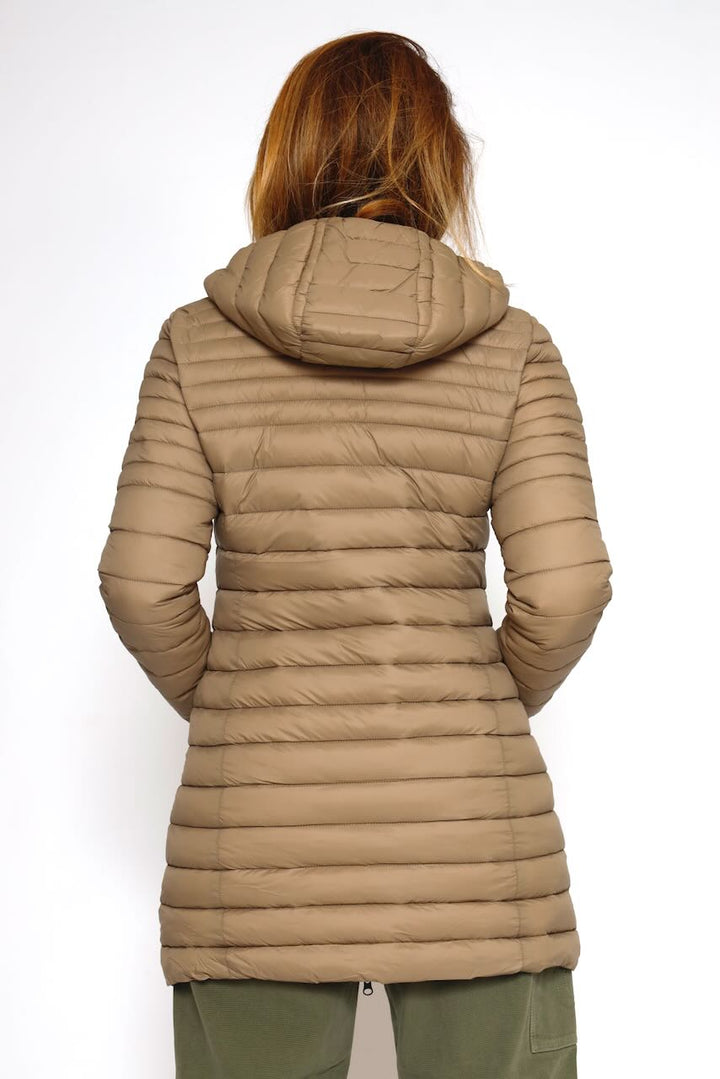 PLUMIFERO M49495-TERRA